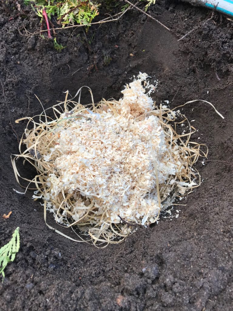 Vom kleinen Glück: Regenpausen im Garten
Nisthilfe für Hummeln selber bauen